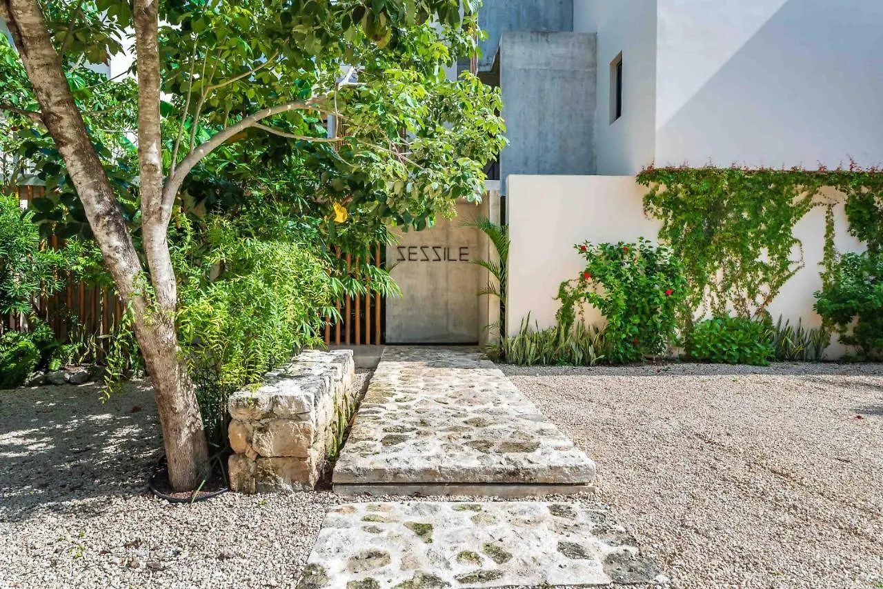 Luxury Apartament With Private Plunge Pool - Ground Floor Tulum