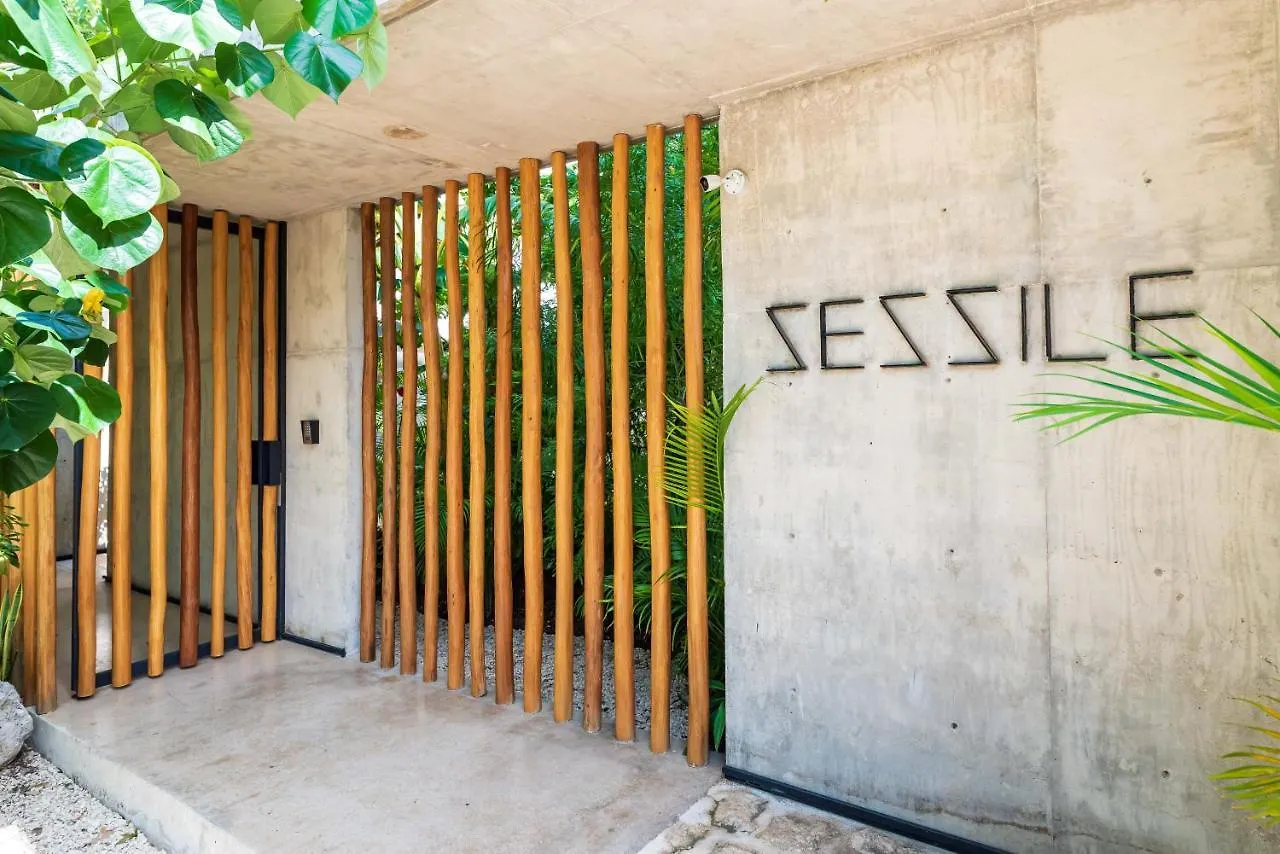 Apartment Luxury Apartament With Private Plunge Pool - Ground Floor Tulum