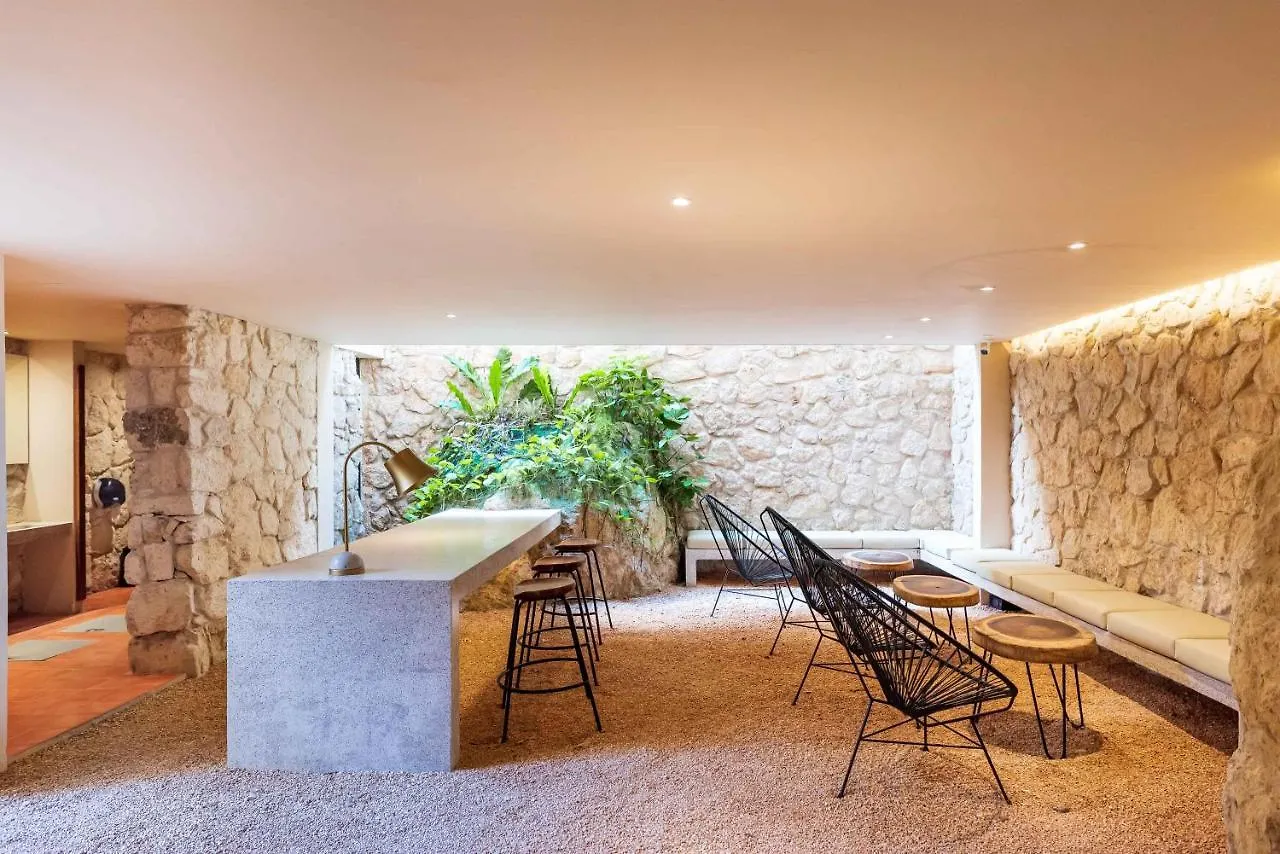 Luxury Apartament With Private Plunge Pool - Ground Floor Tulum Mexico