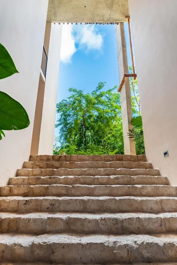 Luxury Apartament With Private Plunge Pool - Ground Floor Tulum 0*,